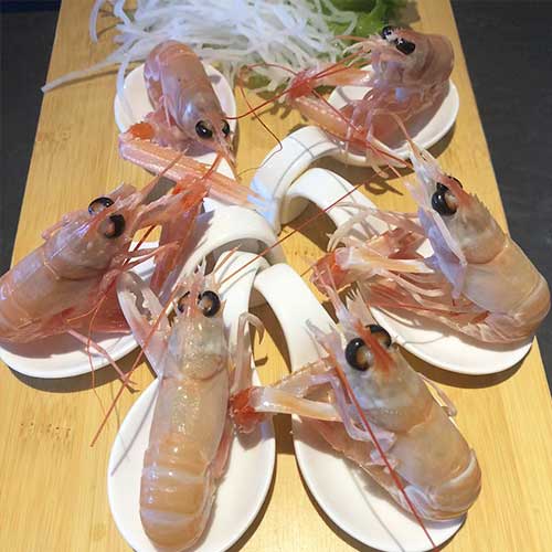 SASHIMI SCAMPI